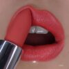 Mineraliniai lūpų dažai BellaPierre Sassy LS010