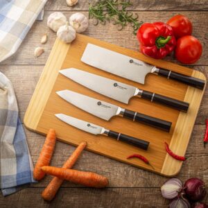 Damasko plieno peilių rinkinys su stovu KAMAZAKI KZI002SET